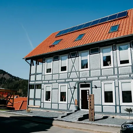Ferienwohnung Obergeschoss Wohnwerk Lautenthal Harz Апартаменты *